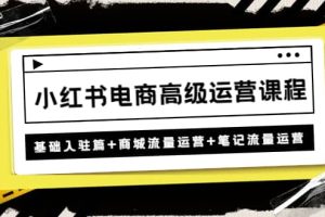 小红书电商高级运营课程：基础入驻篇 商城流量运营 笔记流量运营