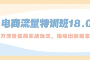 电商流量特训班18.0，直引万流量破局实操玩法，现场出数据拿结果