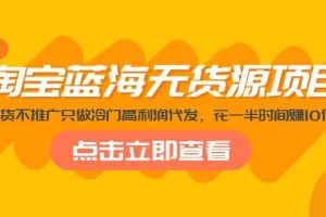 淘宝蓝海无货源项目，不囤货不推广只做冷门高利润代发