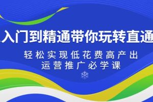 从入门到精通带你玩转直通车：轻松实现低花费高产出，35节运营推广必学课