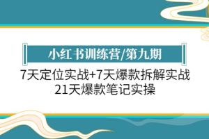 小红书训练营/第九期：7天定位实战 7天爆款拆解实战，21天爆款笔记实操