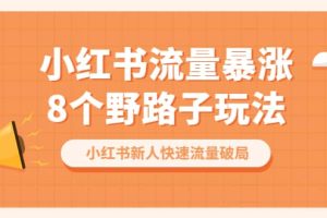 小红书流量-暴涨8个野路子玩法：小红书新人快速流量破局（8节课）