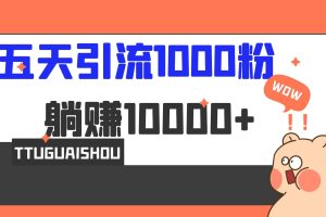 5天引流1000 ，赚了1w