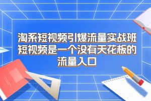 淘系短视频引爆流量实战班，短视频是一个没有天花板的流量入口