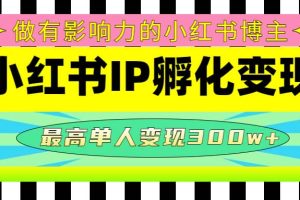 某收费培训-小红书IP孵化变现：做有影响力的小红书博主