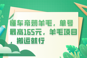 懂车帝薅羊毛，单号最高165元，羊毛项目，搬运就行