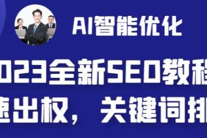 2023最新网站AI智能优化SEO教程，简单快速出权重，AI自动写文章 AI绘画配图