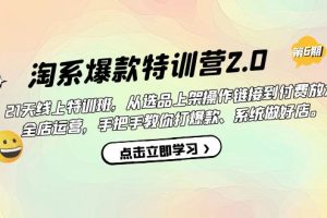 淘系爆款特训营2.0【第六期】从选品上架到付费放大 全店运营 打爆款 做好店