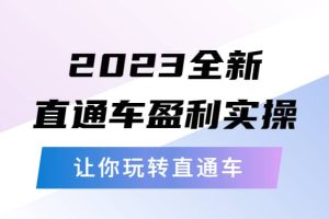 2023全新直通车·盈利实操：从底层，策略到搭建，让你玩转直通车