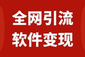 全网引流，软件虚拟资源变现项目，日入1000＋