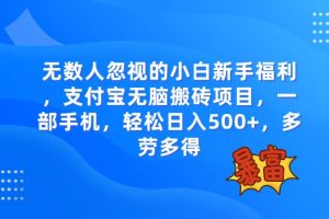 无数人忽视的项目，支付宝无脑搬砖项目，一部手机即可操作，轻松日入500