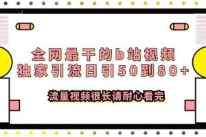 全网最干的b站视频独家引流日引50到80 流量视频很长请耐心看完