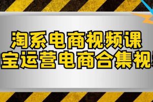 淘系-电商视频课，淘宝运营电商合集视频（33节课）