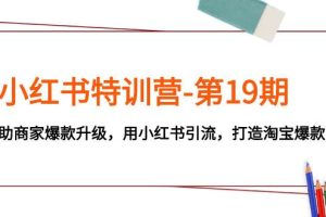 小红书特训营-第19期，帮助商家爆款升级，用小红书引流，打造淘宝爆款