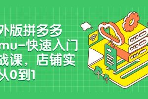 海外版拼多多Temu-快速入门实战课，店铺实战从0到1（12节课）